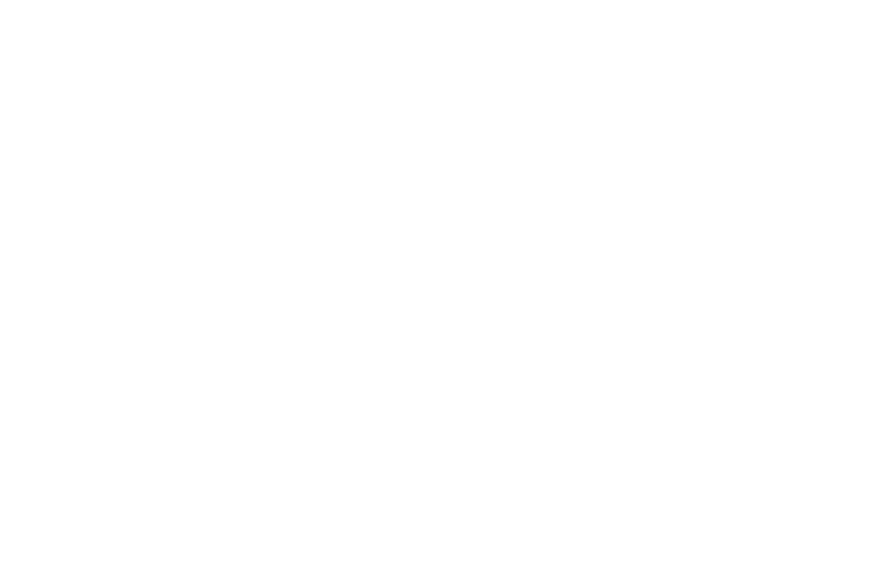 Audience Award — WeMakeFilms International Film Festival 2024